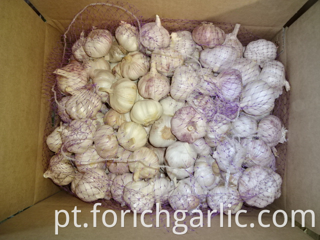 High Quality Fresh Normal White Garlic